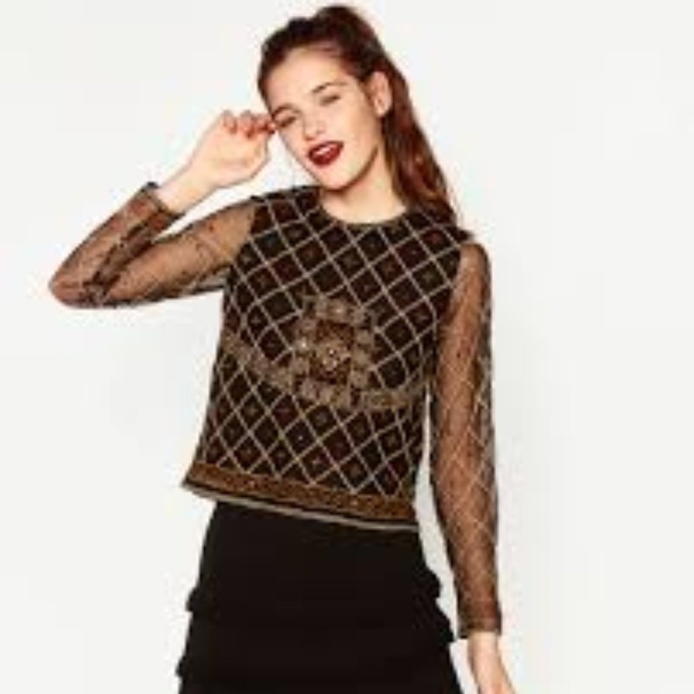 Zara Black Embroidered Mesh Long Sleeve Shirt